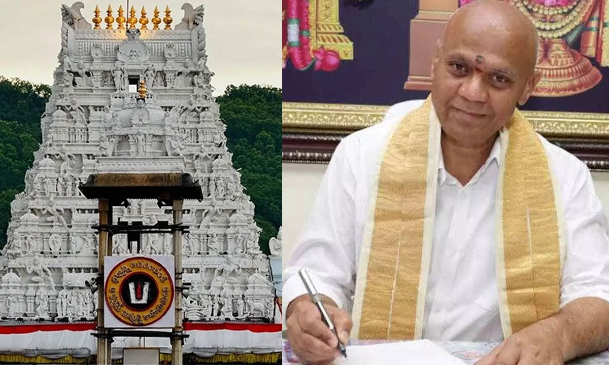 AV Dharmareddy: శ్రీనివాసుడికే పంగనామాలు.. నన్ను ఇన్వాల్వ్ చేయకండి సిట్‌గారూ..!