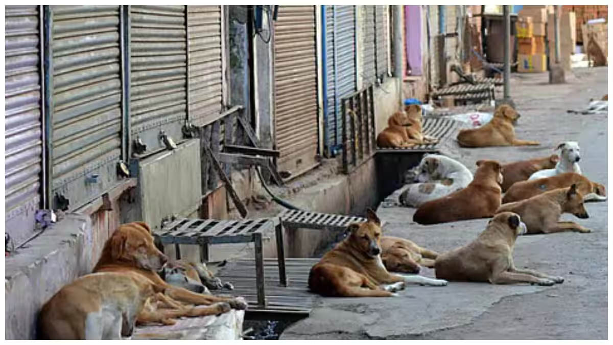 Telagana News: ఇంత దారుణమా? మనుషులేనా?