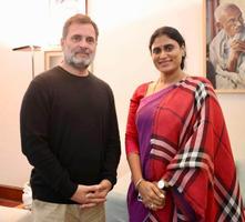 YS Sharmila: షర్మిలకు 'రాజ్య'యోగం.. అన్న వదలిన బాణం.. ఢిల్లీకి అస్త్రం!